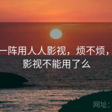 用了一阵用人人影视，烦不烦，人人影视不能用了么