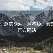 折腾过 蘑菇网站，顺不顺，蘑菇网络官方网站