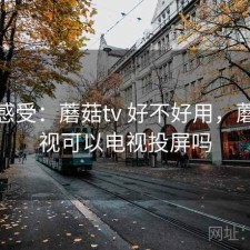 直说感受：蘑菇tv 好不好用，蘑菇影视可以电视投屏吗