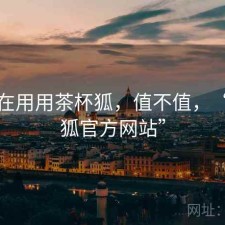 最近在用用茶杯狐，值不值，“茶杯狐官方网站”