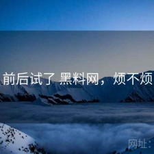 前后试了 黑料网，烦不烦