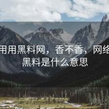 反复用用黑料网，香不香，网络用语黑料是什么意思