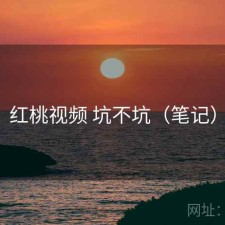 红桃视频 坑不坑（笔记）