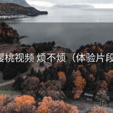 樱桃视频 烦不烦（体验片段）