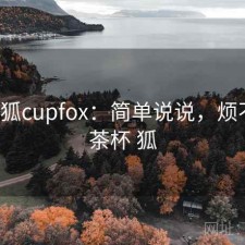 茶杯狐cupfox：简单说说，烦不烦，茶杯 狐