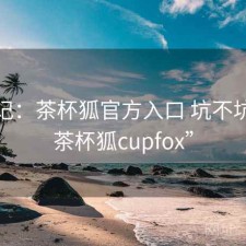 用后记：茶杯狐官方入口 坑不坑，“茶杯狐cupfox”