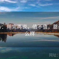 蘑菇tv：用完再说，值不值，蘑菇tv怎么样