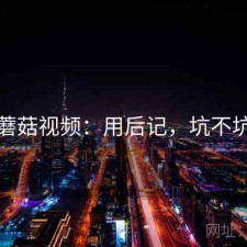 蘑菇视频：用后记，坑不坑
