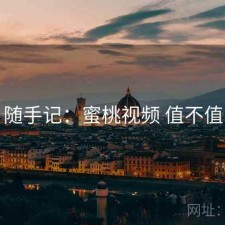 随手记：蜜桃视频 值不值