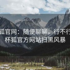 茶杯狐官网：随便聊聊，行不行，茶杯狐官方网站扫黑风暴