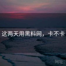 这两天用黑料网，卡不卡