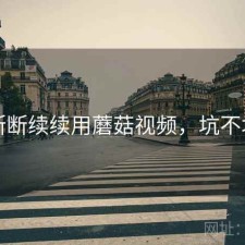 断断续续用蘑菇视频，坑不坑