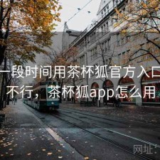 最近一段时间用茶杯狐官方入口，行不行，茶杯狐app怎么用