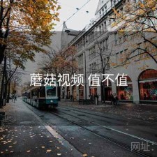 蘑菇视频 值不值