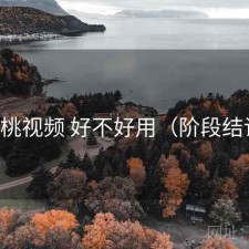 蜜桃视频 好不好用（阶段结论）