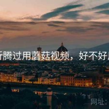 折腾过用蘑菇视频，好不好用