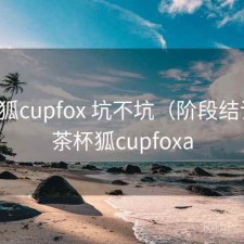 茶杯狐cupfox 坑不坑（阶段结论），茶杯狐cupfoxa