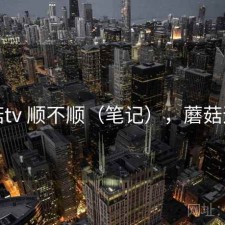 蘑菇tv 顺不顺（笔记），蘑菇追剧