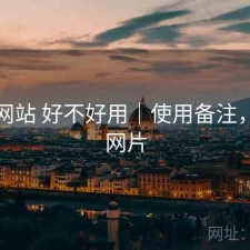 蘑菇网站 好不好用｜使用备注，蘑菇网片