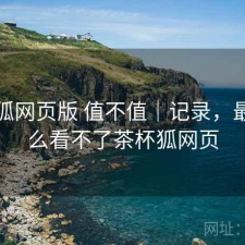 茶杯狐网页版 值不值｜记录，最近怎么看不了茶杯狐网页