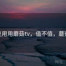 反复用用蘑菇tv，值不值，蘑菇98