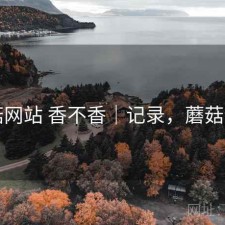 蘑菇网站 香不香｜记录，蘑菇网片