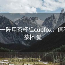 用了一阵用茶杯狐cupfox，值不值，茶杯 狐