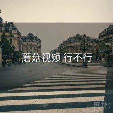 蘑菇视频 行不行