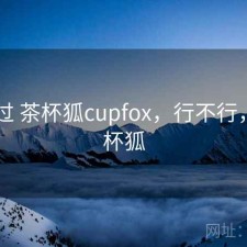 对比过 茶杯狐cupfox，行不行，1.茶杯狐