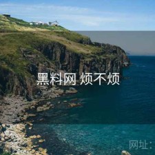 黑料网 烦不烦