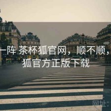 用了一阵 茶杯狐官网，顺不顺，茶杯狐官方正版下载