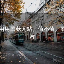 反复用用蘑菇网站，值不值，蘑菇网片