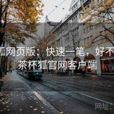 茶杯狐网页版：快速一笔，好不好用，茶杯狐官网客户端