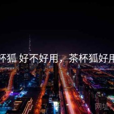 茶杯狐 好不好用，茶杯狐好用吗