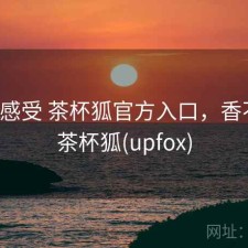 直说感受 茶杯狐官方入口，香不香，茶杯狐(upfox)