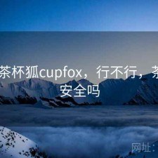 刚用 茶杯狐cupfox，行不行，茶杯狐安全吗