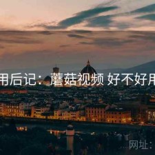 用后记：蘑菇视频 好不好用