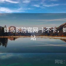 短评：蜂鸟影院官网 卡不卡，蜂鸟影站