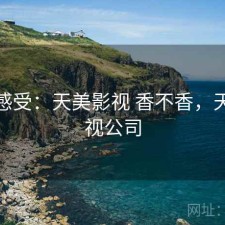 直说感受：天美影视 香不香，天美影视公司