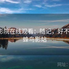 蜂鸟影院在线观看：随记，好不好用，蜂鸟影站