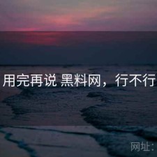 用完再说 黑料网，行不行